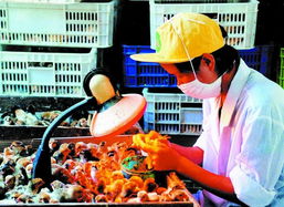 2003中山農災年奪收業呈現十大亮點