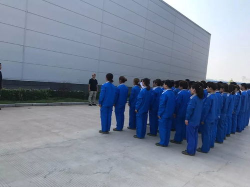 熔煉團隊 凝心聚力 華裕國際家禽孵化中心拓展訓練