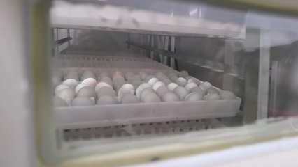 科技如何賦能農(nóng)業(yè)發(fā)展?來(lái)華農(nóng)&ldquo;智慧小院&rdquo;瞧瞧