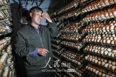 江蘇盱眙:農(nóng)民自建孵化室 每年孵化10萬(wàn)只家禽苗