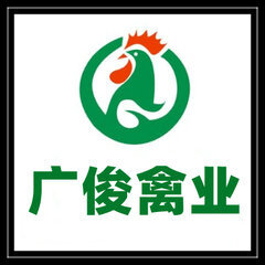 獅頭鵝苗_土雞苗_黑瑤雞苗_西洋鴨苗