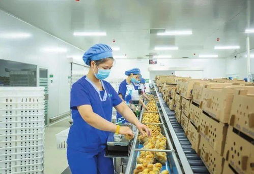 邯鄲日報 品質為本 專注創新 華裕打造國際一流農業產業集團