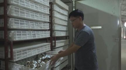 小鴨蛋 孵 出美好生活