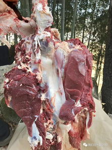 岳西人看過來,這才是正宗本地鄉(xiāng)下原生態(tài)黃牛肉 黑毛豬 在這里買...