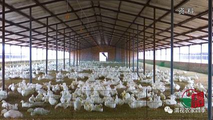 渭南市農(nóng)業(yè)產(chǎn)業(yè)(企業(yè))復工率達96.6%