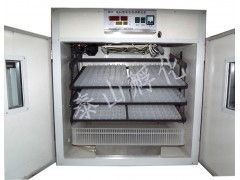 孵化器 山雞孵化器 四川全自動孵化器 孵化器價格 泰山孵化
