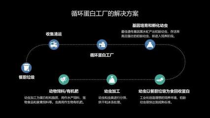 國內每年產生1億噸餐廚廚余垃圾，豐晟生態通過黑水虻飼養打造循環蛋白家禽孵化