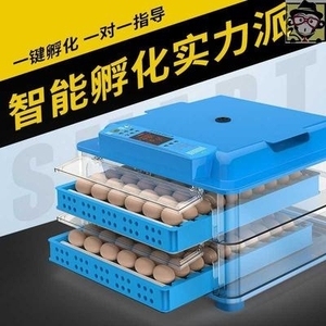 家禽孵化器 如何科學(xué)高效地孵小雞