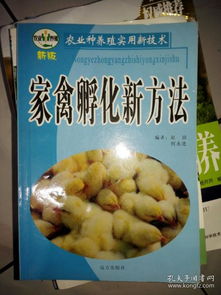 家禽孵化新方法 提高效率與健康的創(chuàng)新技術(shù)