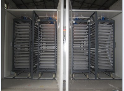 供應湖南振興系列孵化設備 助力家禽養殖業高效發展